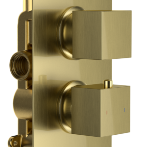 Bedgebury Single Outlet - Two Controls - Concealed Thermostatic Valve - Brushed Brass