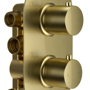 Bewl Double Outlet - Two Controls - Concealed Thermostatic Valve - Brushed Brass