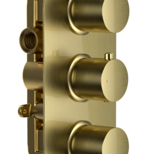 Bewl Double Outlet - Three Controls - Concealed Thermostatic Valve - Brushed Brass