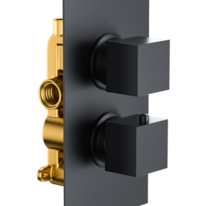 Bedgebury Single Outlet - Two Controls - Concealed Thermostatic Valve - Black