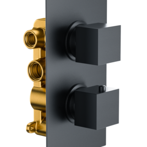 Bedgebury Double Outlet - Two Controls - Concealed Thermostatic Valve - Black