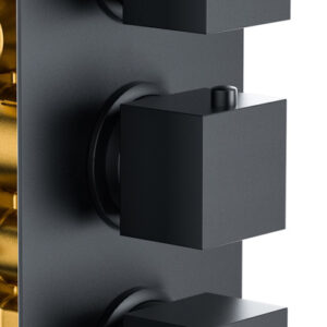 Bedgebury Triple Outlet - Three Controls - Concealed Thermostatic Valve - Black