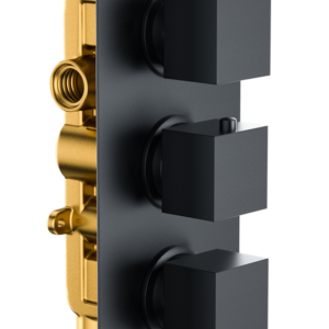 Bedgebury Double Outlet - Three Controls - Concealed Thermostatic Valve - Black