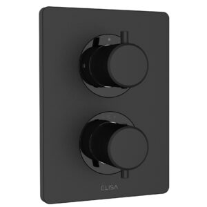 Elisa Rosa Dual Outlet Concealed Mixer - Matt Black