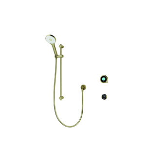 Elisa Intuition Concealed Smart Shower with Adjustable Head & Remote for HP/Combi - Brass