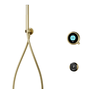 Elisa Intuition Divert Concealed Smart Hand Shower, Fixed Ceiling Heand & Remove - HP/Combi - Brass
