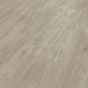 Palio Rigid - Brockton