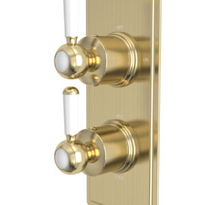 Tavistock Lansdown Dual Function Shower Valve - Brass
