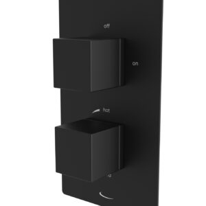 Tavistock Index Dual Function Concealed Shower Valve - Black