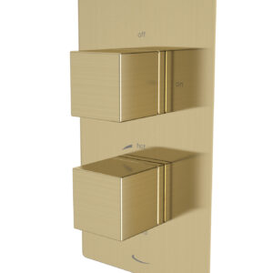 Tavistock Index Dual Function Concealed Shower Valve - Brass