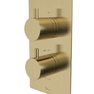 Tavistock Quantum Dual Function Shower Valve - Brass