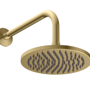 Britton Hoxton Shower Head & Arm - Brushed Brass