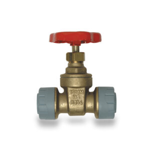 Polyplumb 22mm Brass Gate Valve (5 Pk)
